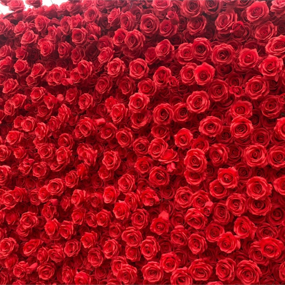 Uflower Red Rose 5D Panno Fior - Wedding Backdrop Curtain recensione e prezzo